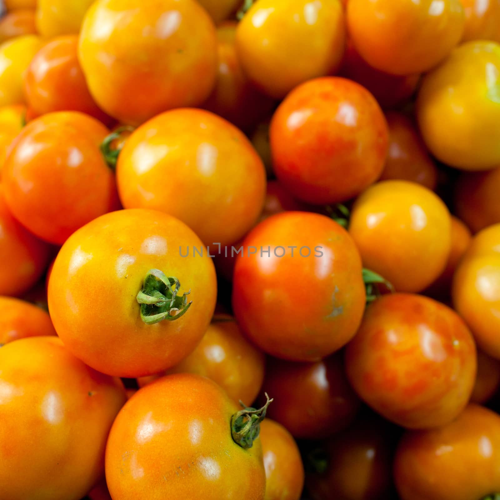 photo of very fresh tomato