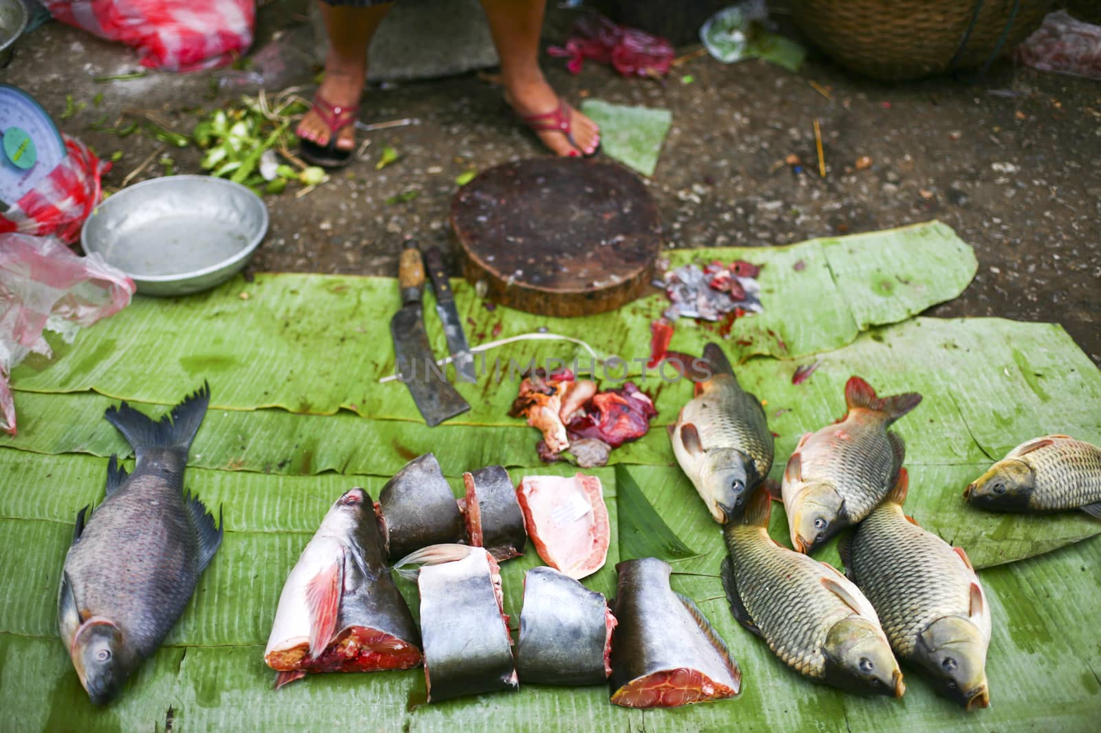 Fresh fish at the Market in Luang Prabang, Laos