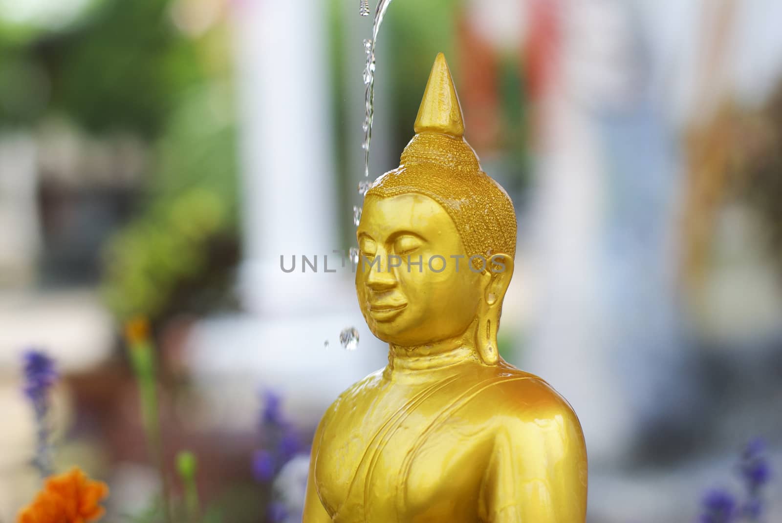 water pouring to Buddha statue in Songkran festival tradition of Thailand
