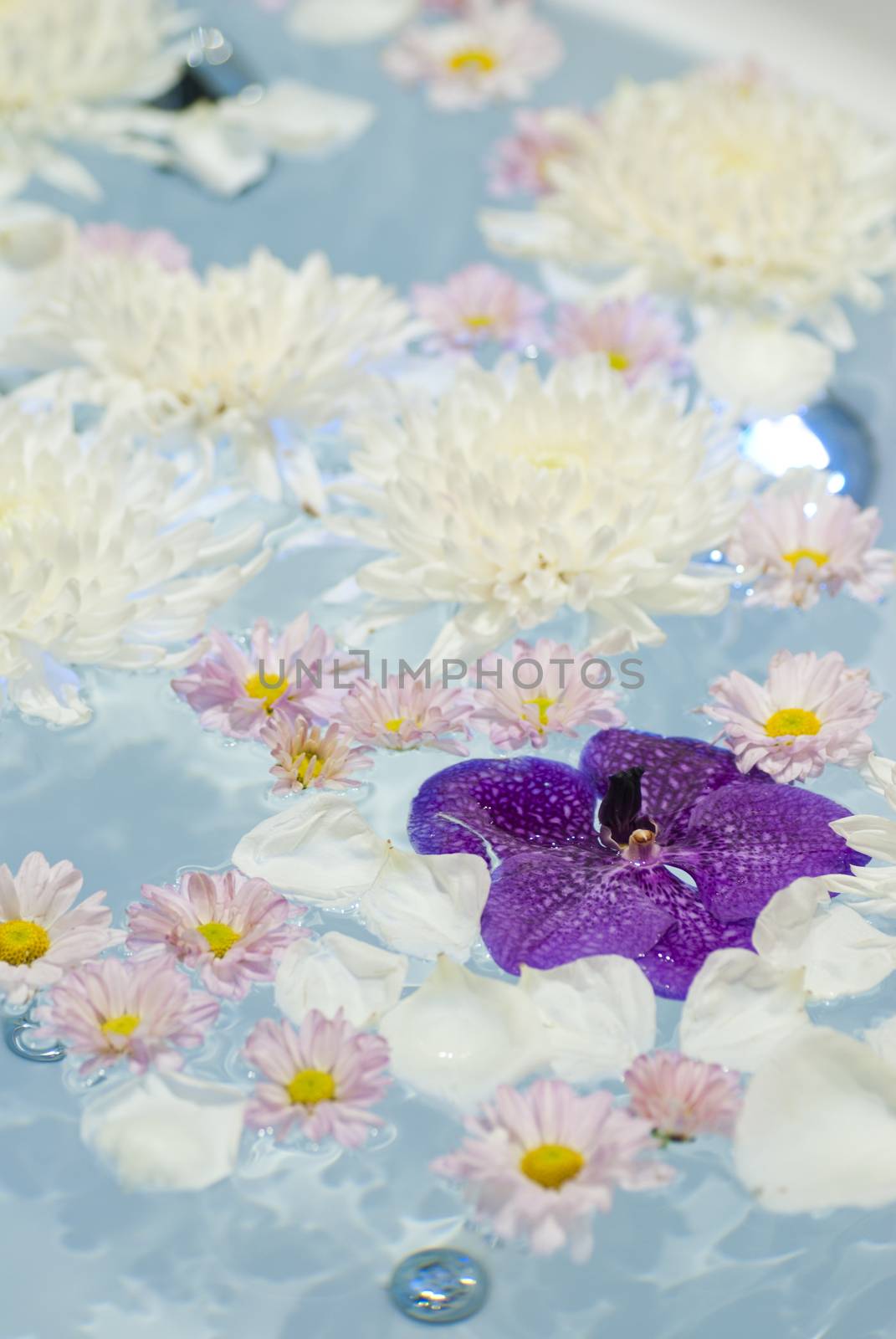 Spa flowers on water in spa room