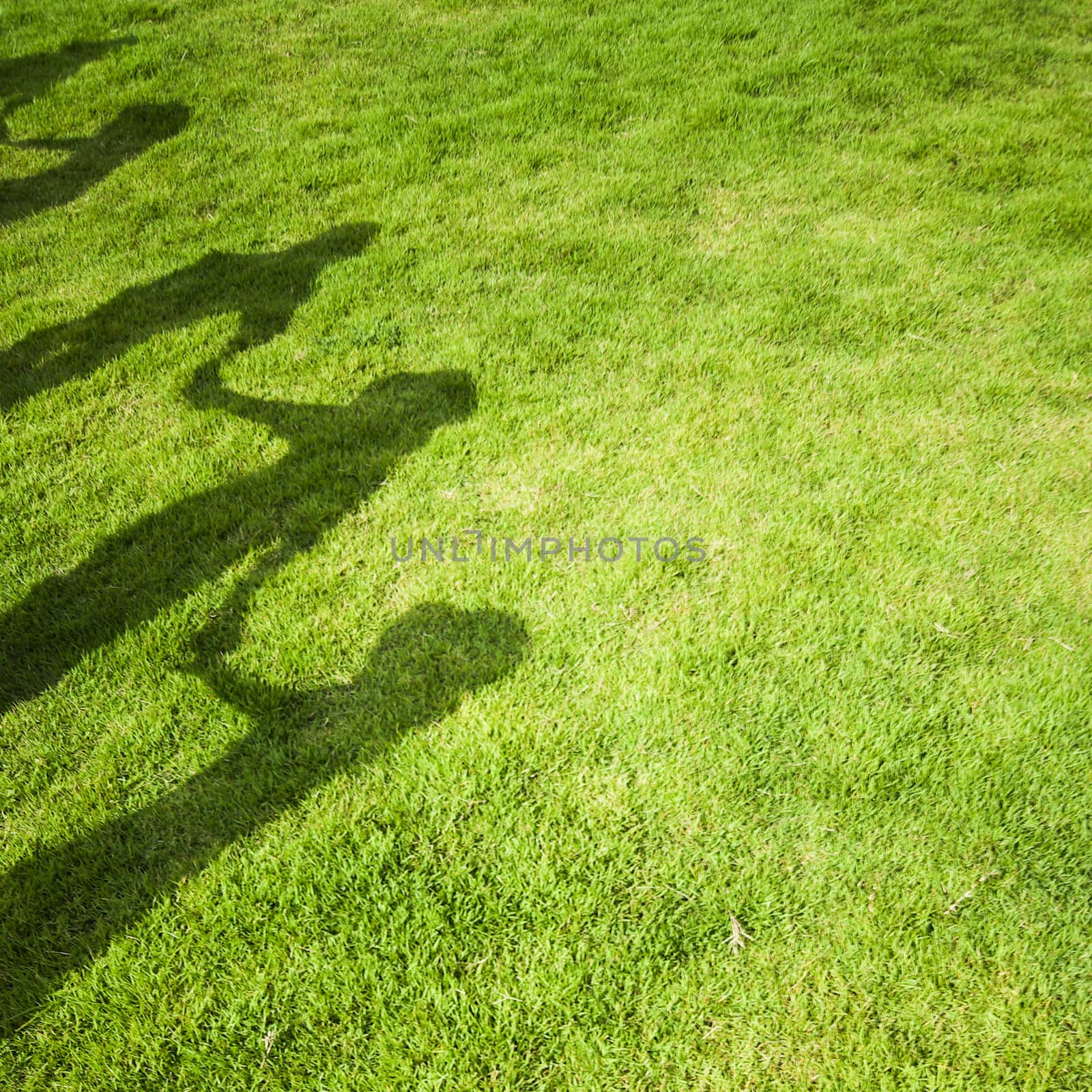 Group people shadow on green grass by 2nix