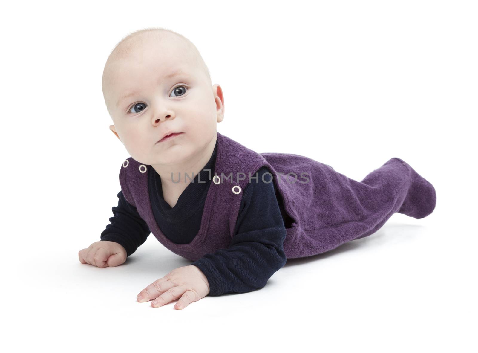 baby crawling on floor. isolated on white background