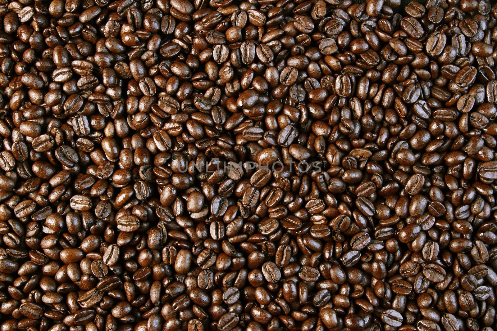 Closeup of roasted coffee beans