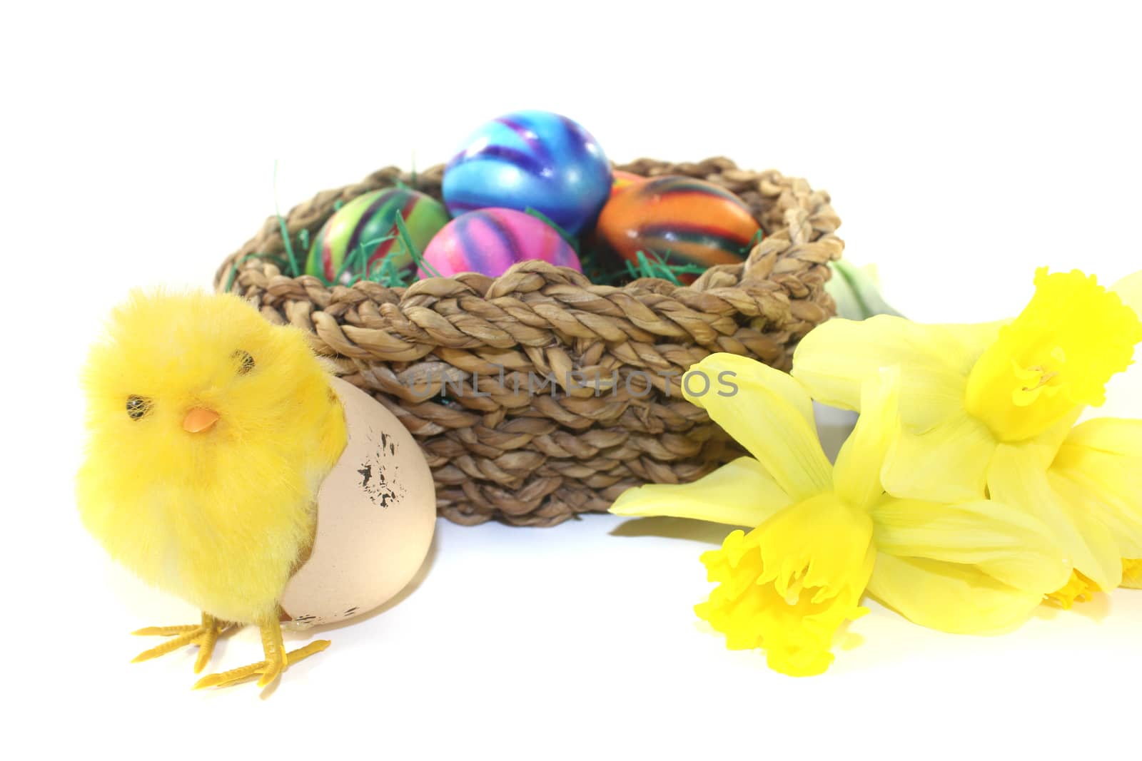 Easter Basket with chick and daffodils on a light background