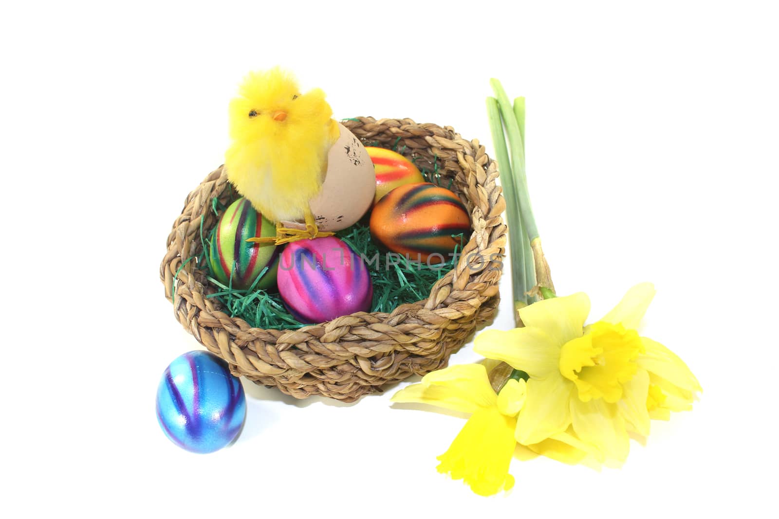Easter Basket with chick by discovery