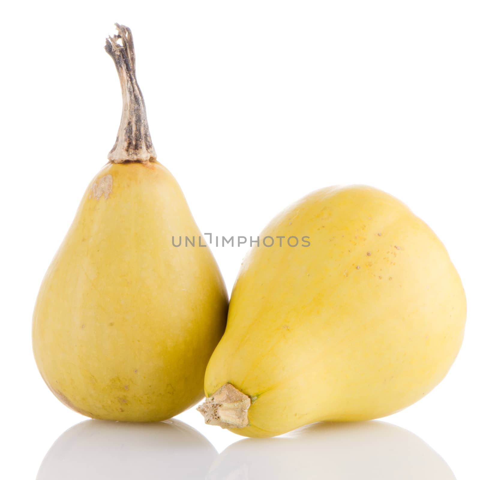 Closeup detail of yellow pumpkins on white reflective background.