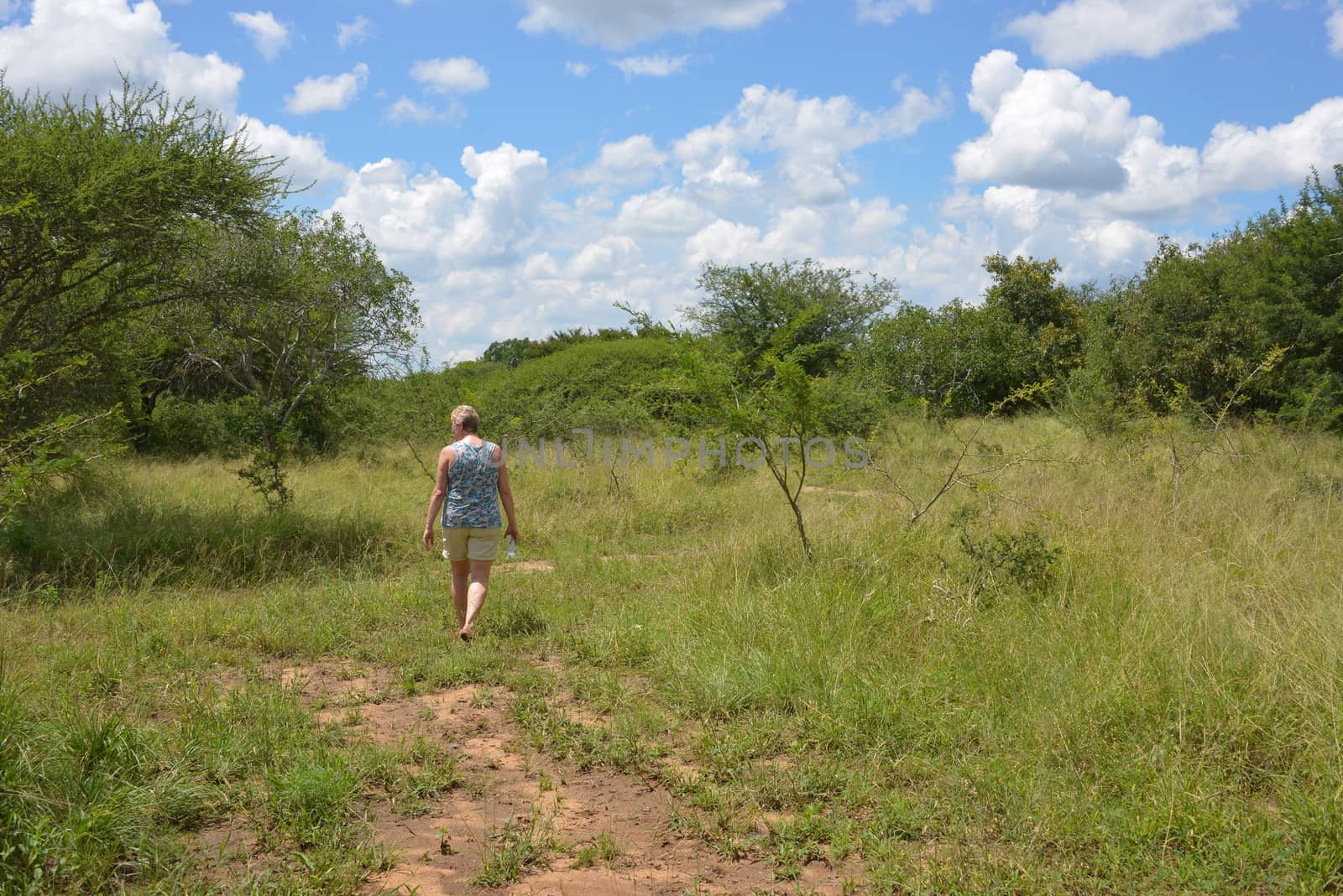 woman walking in nature with bleu sky and white clouds in africa by compuinfoto