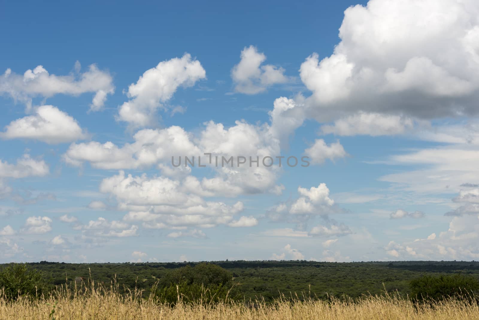 blue sky and white clouds in africa by compuinfoto