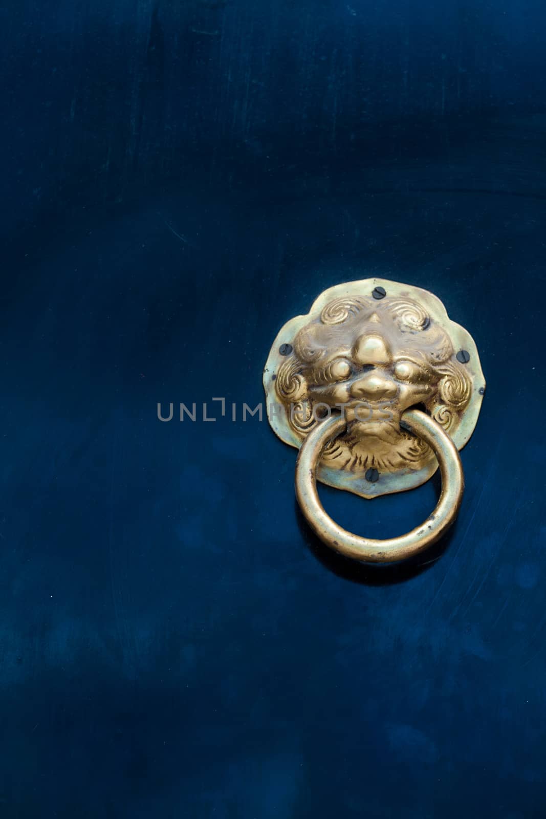 The entrance door is the lion. Made of brass. Designed to comply with.