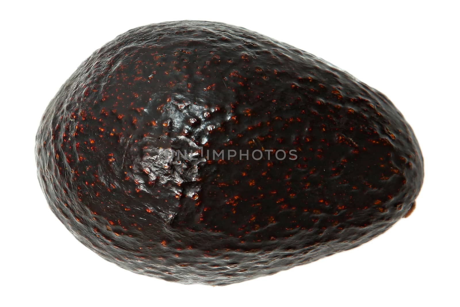Whole Avocado Above View by duplass
