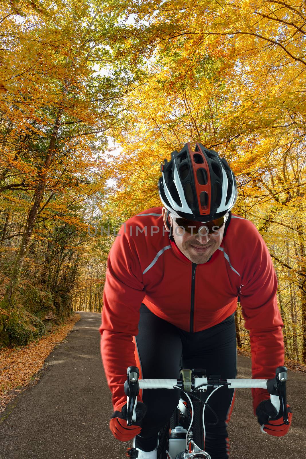 Cyclist on road bike through a forest.