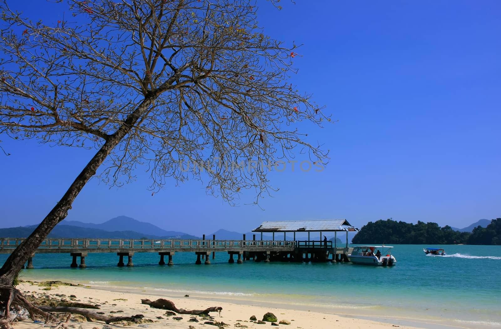 Tropical island beach, Marble Geoforest Park, Langkawi, Malaysia by donya_nedomam