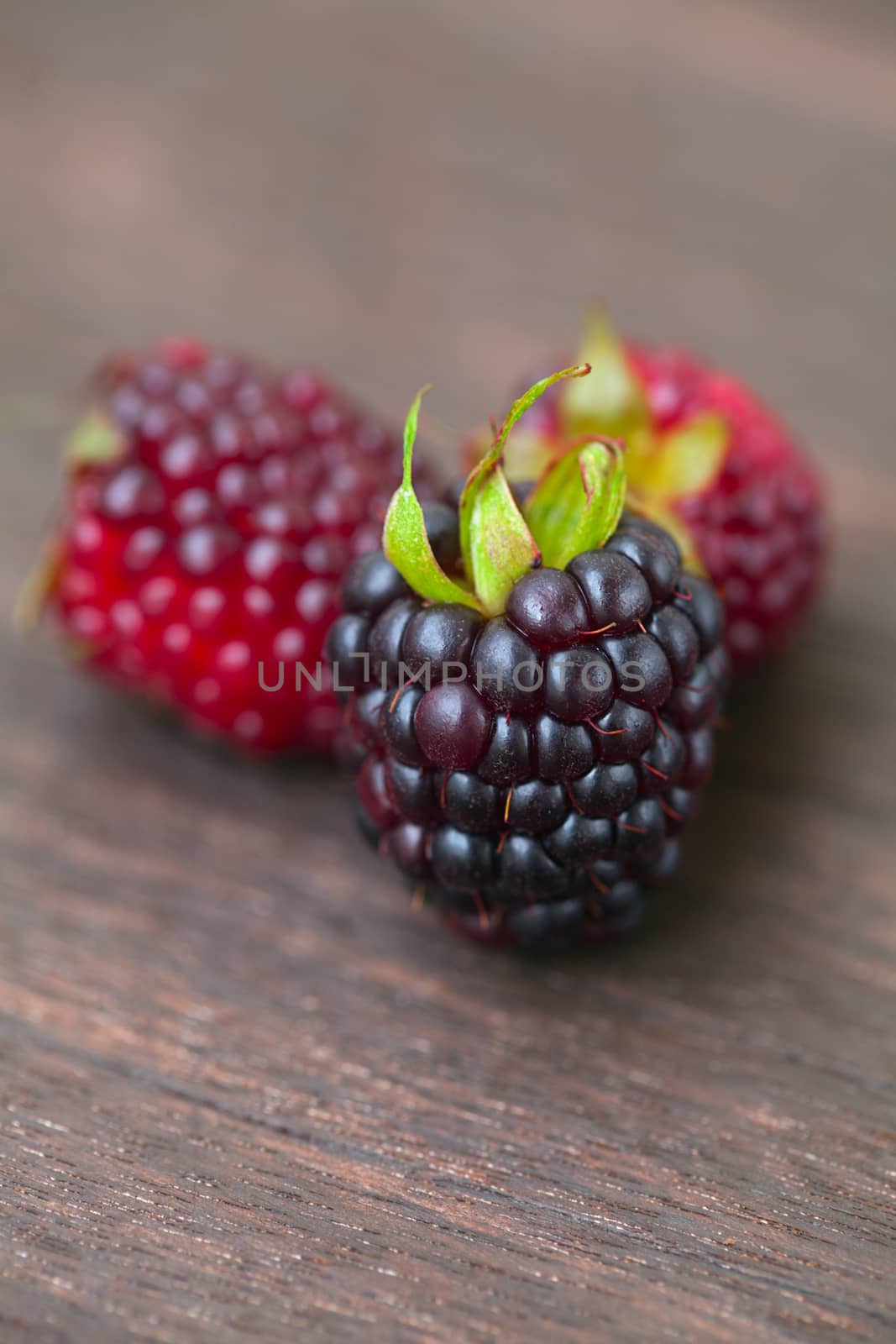 three juicy blackberries on a wooden surface by jannyjus