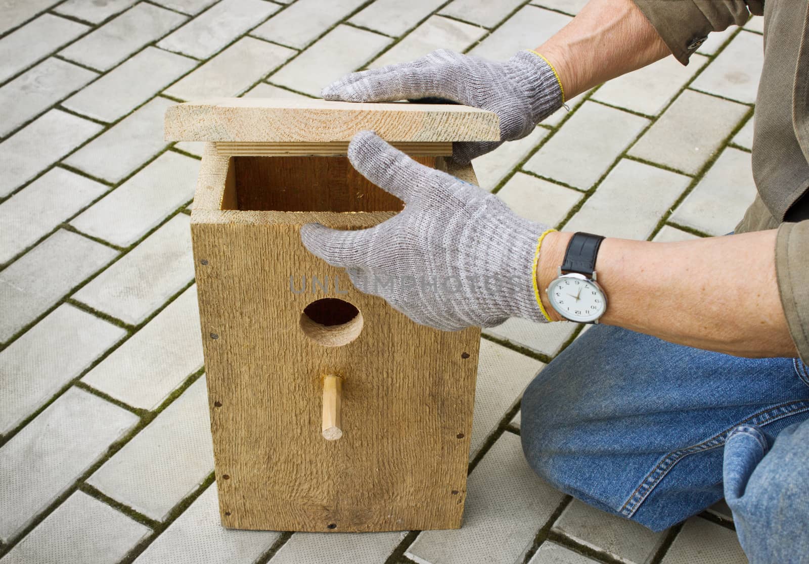 Making a birdhouse from wooden boards spring season