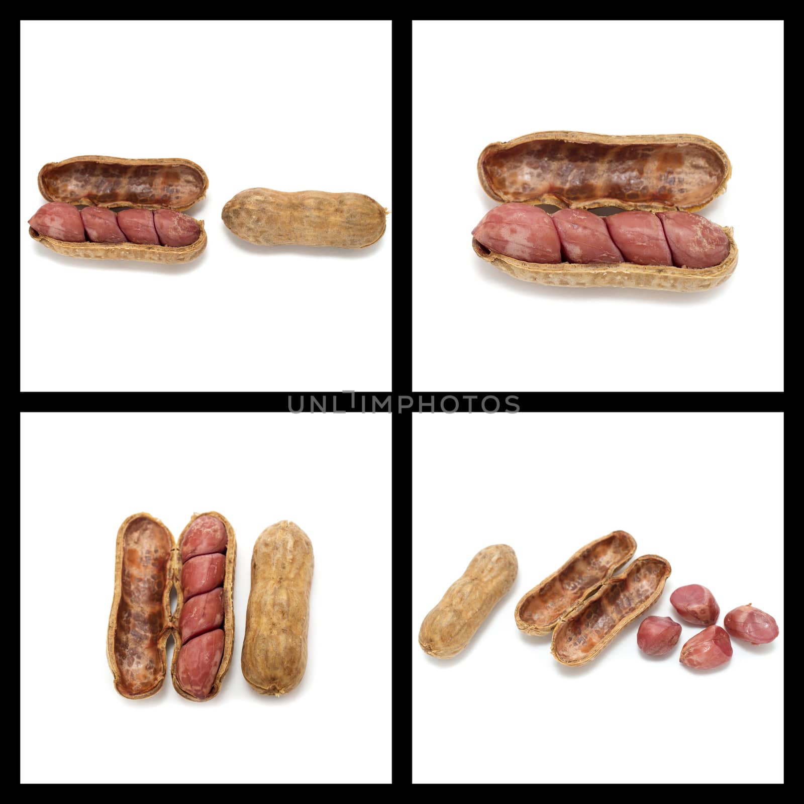 Collage boiled peanuts in shell on white background