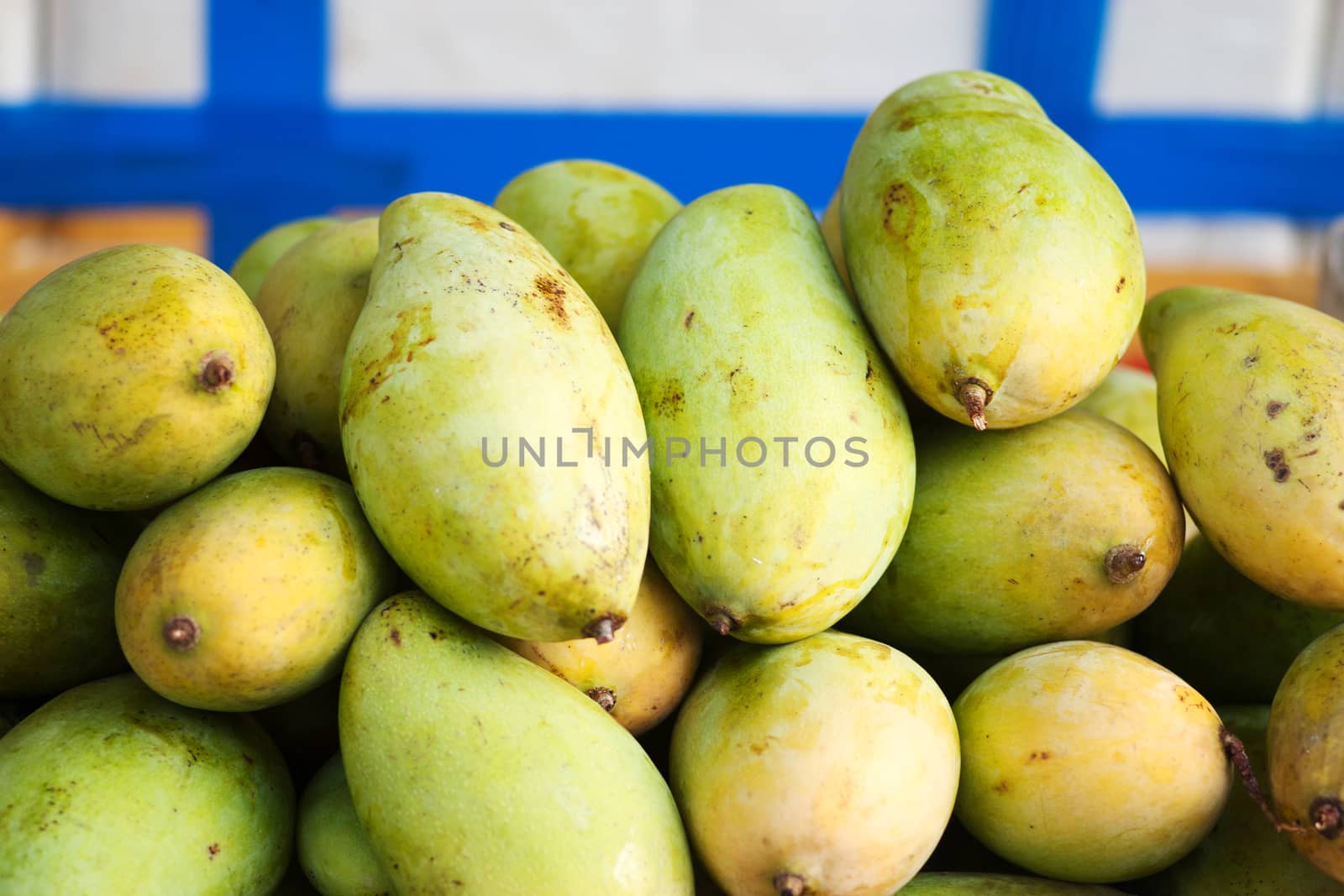 A bunch of green mango in market  by daoleduc
