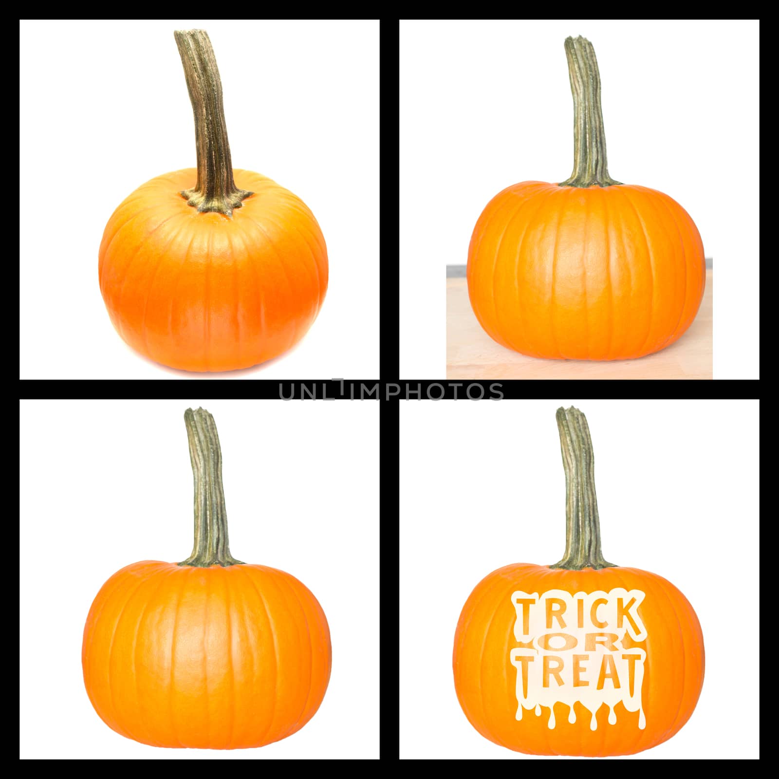 Collage fresh orange pumpkin on white background