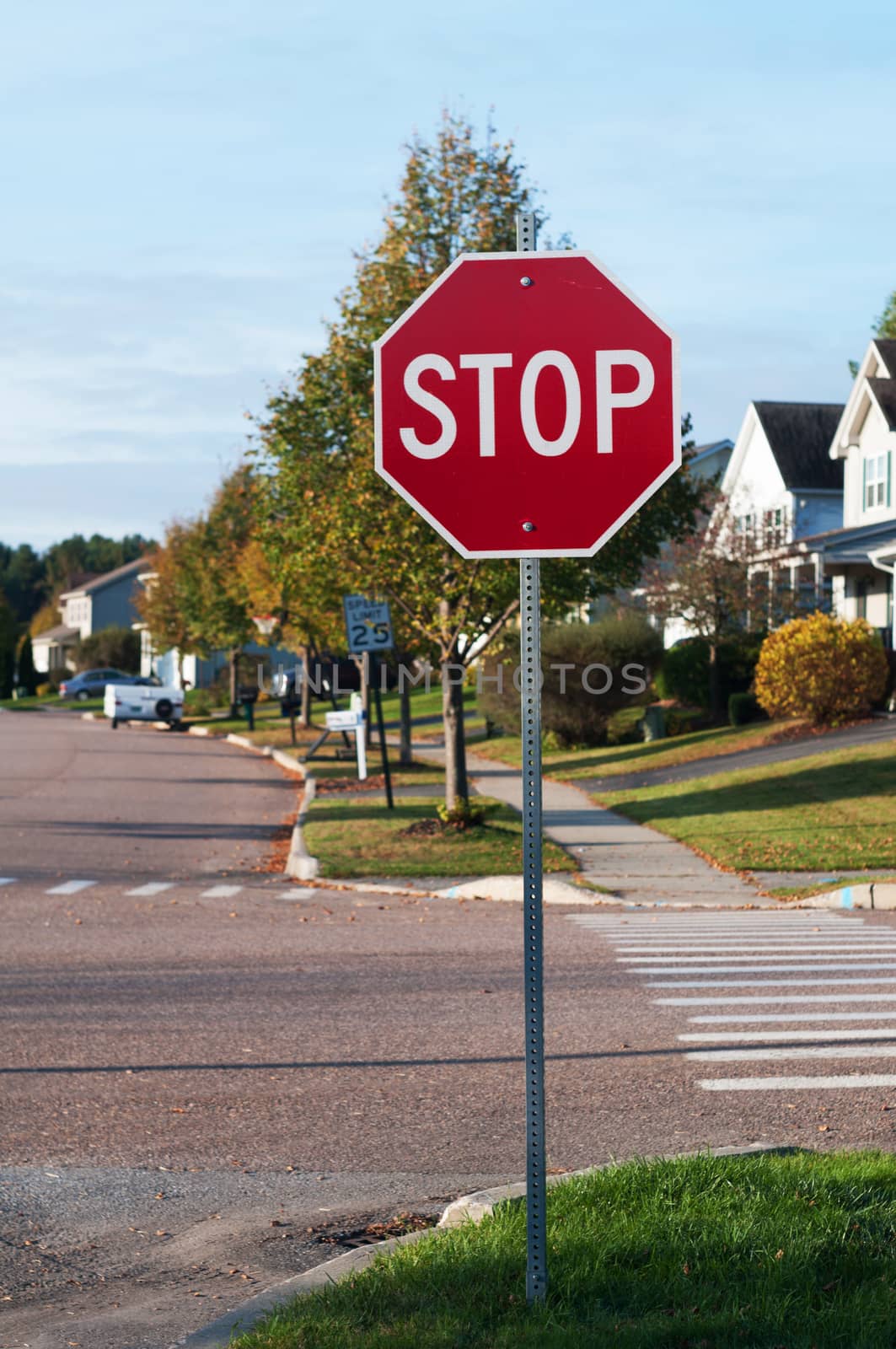 Stop sign at street corner with pedestrian cross path