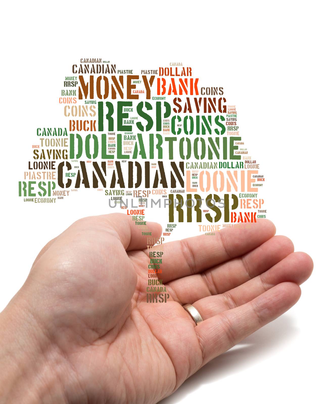 Canadian growing savings concept with tag cloud tree inside a married male Asian hand on white background