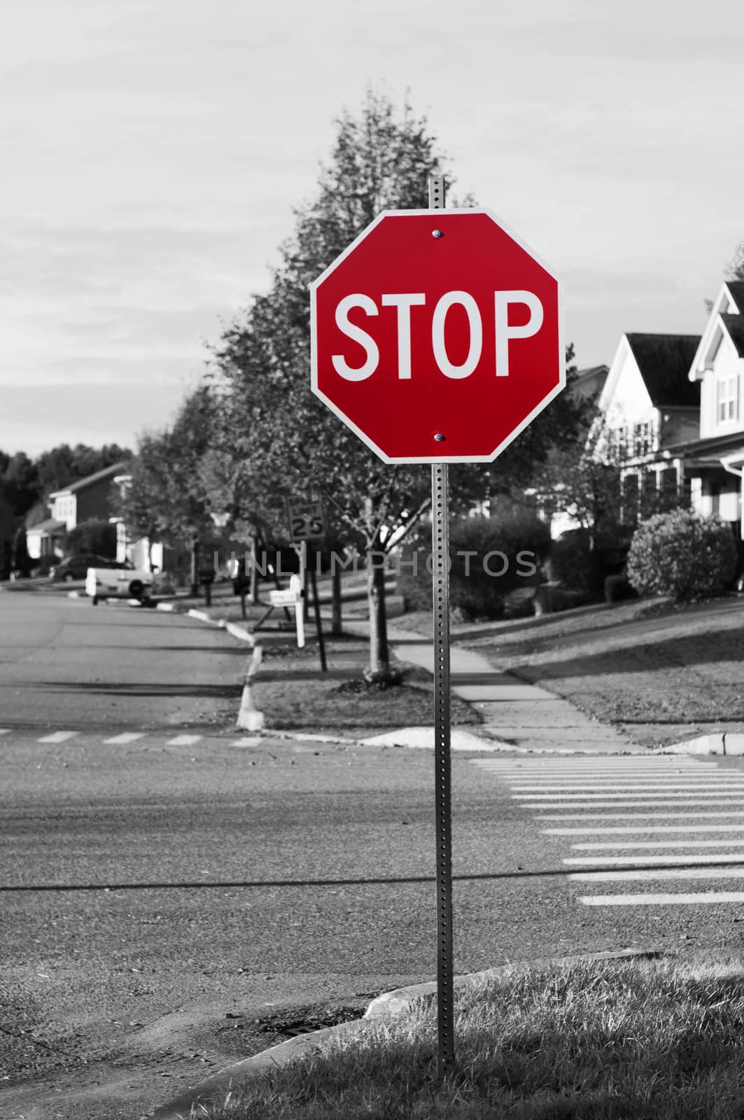 Stop sign at street corner with pedestrian cross path by daoleduc