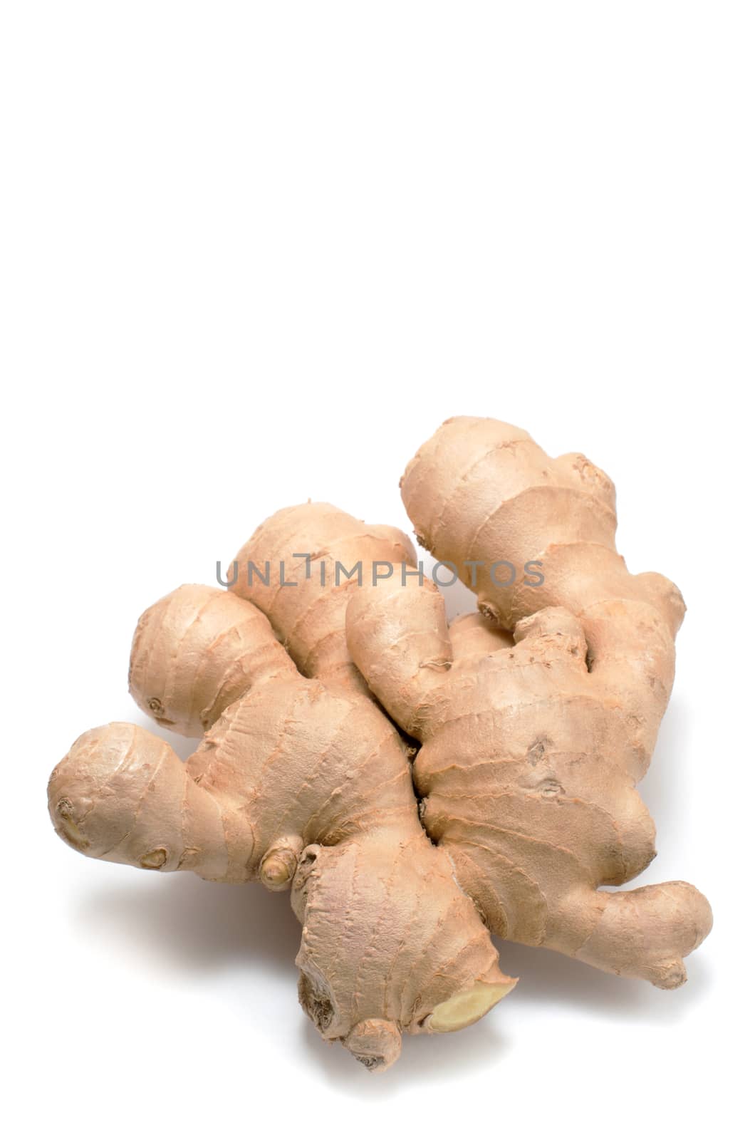 Big Fresh Ginger root on white background 