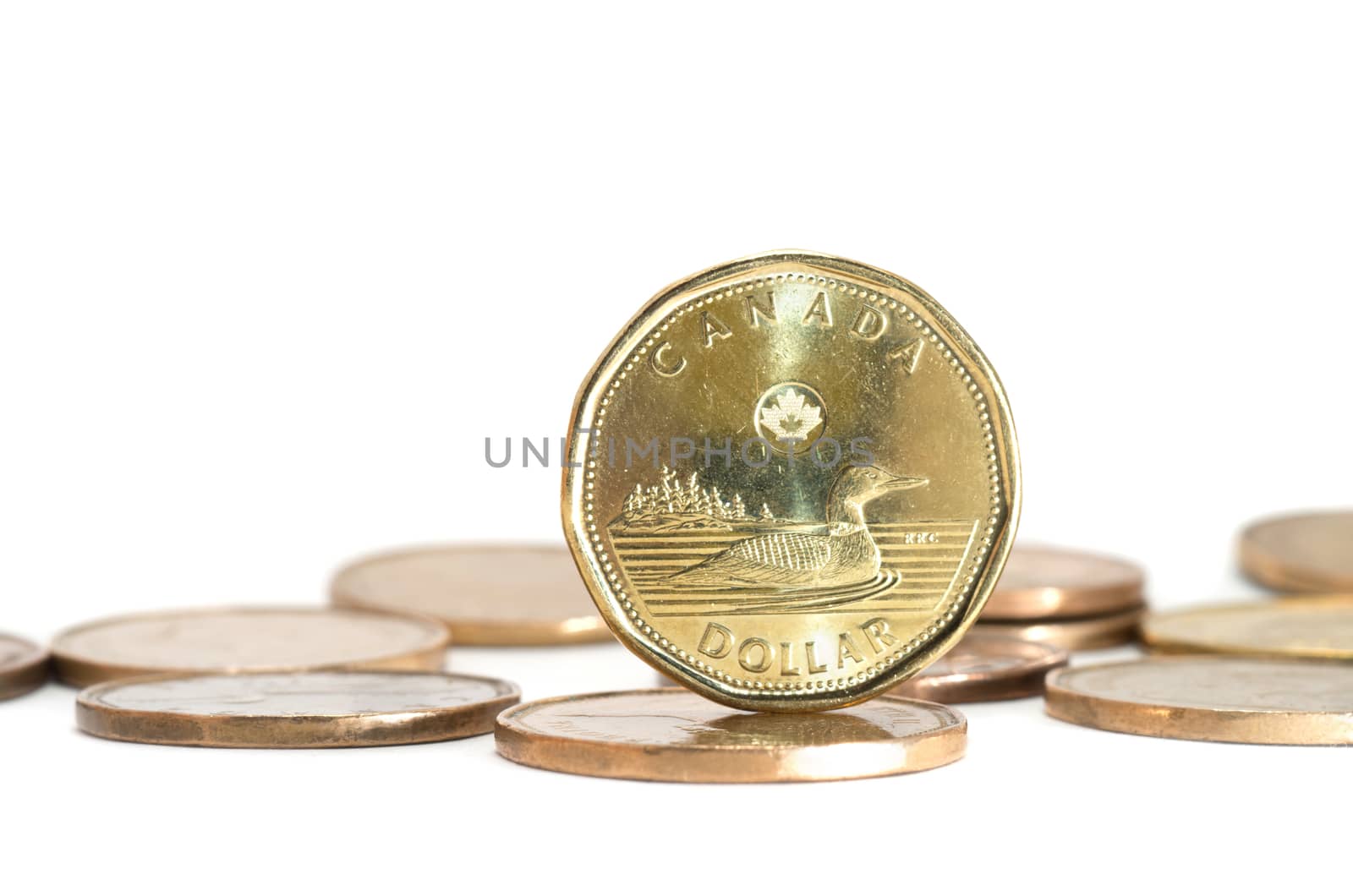 One Canadian dollar coins stack on white background