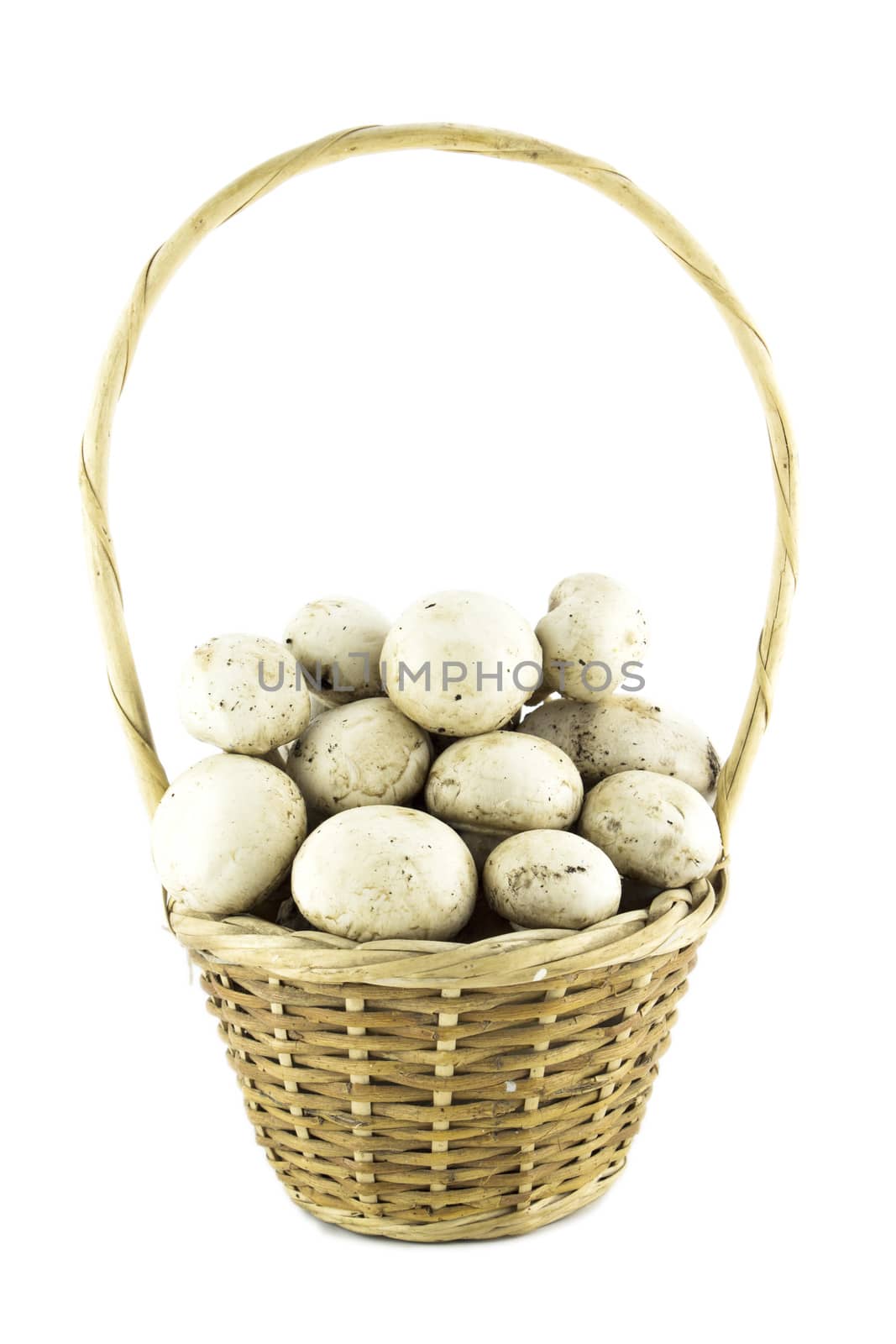 button white mushrooms in basket, champignons.