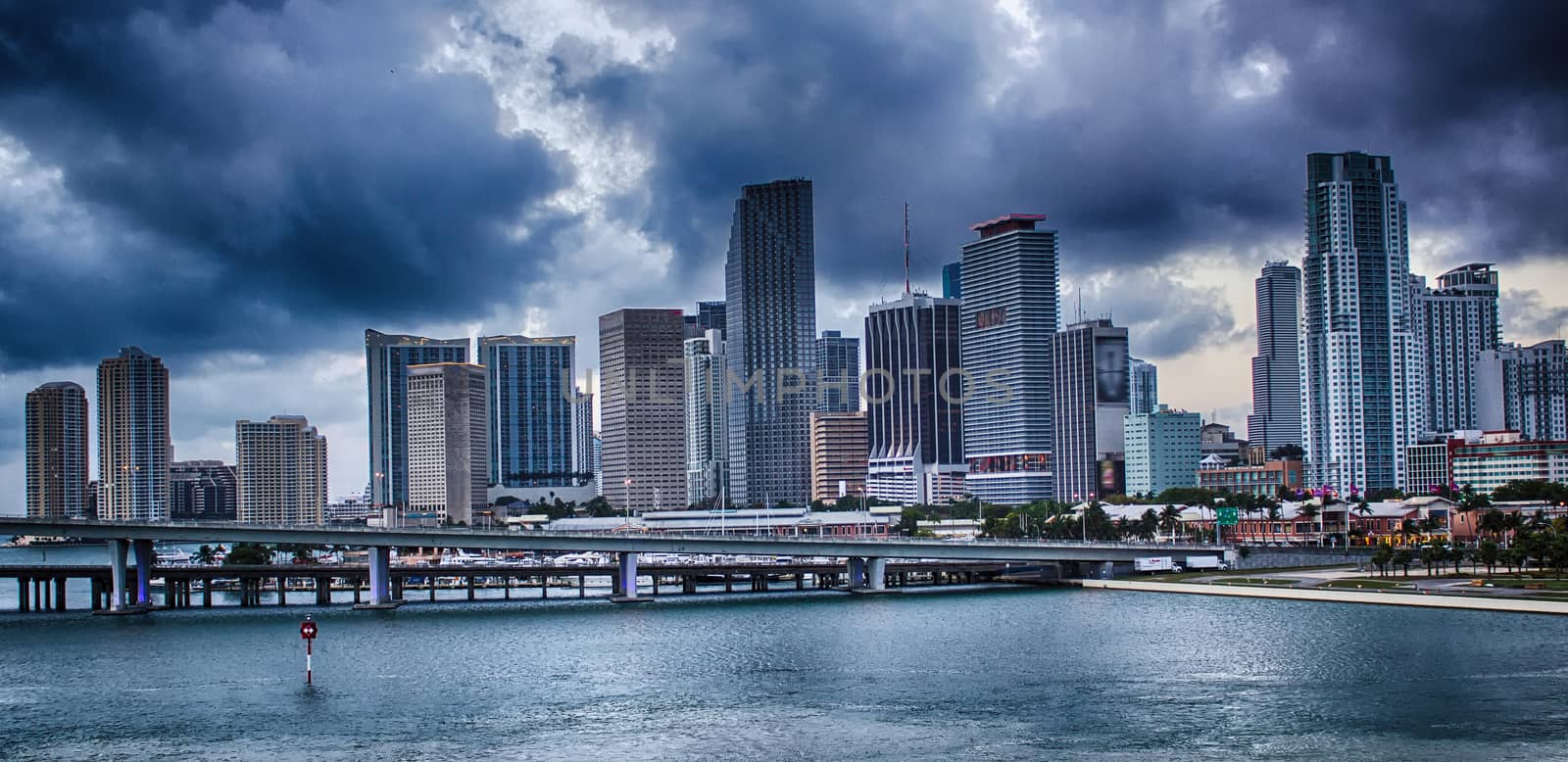 Miami city skyline panorama with urban skyscrapers by jovannig