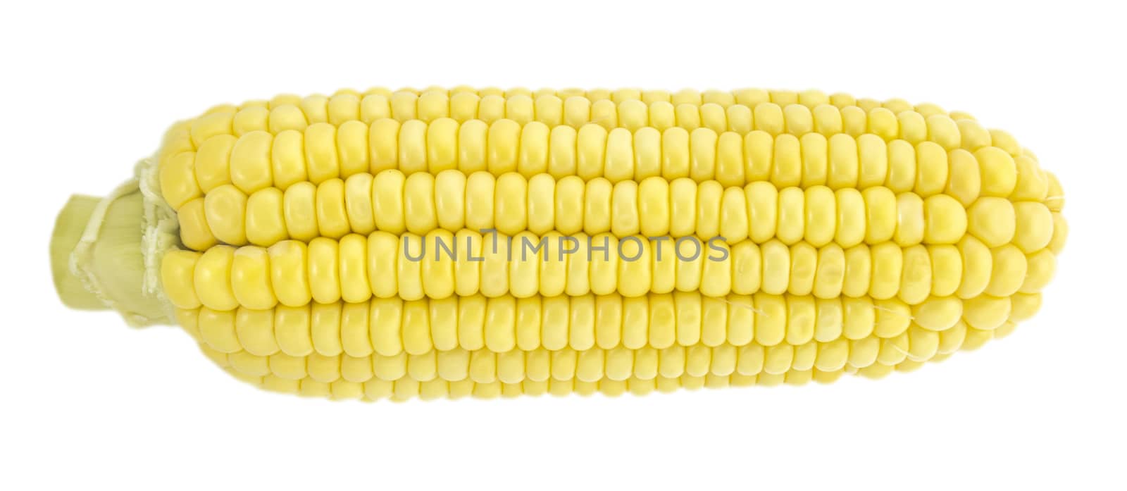 Corn by designsstock