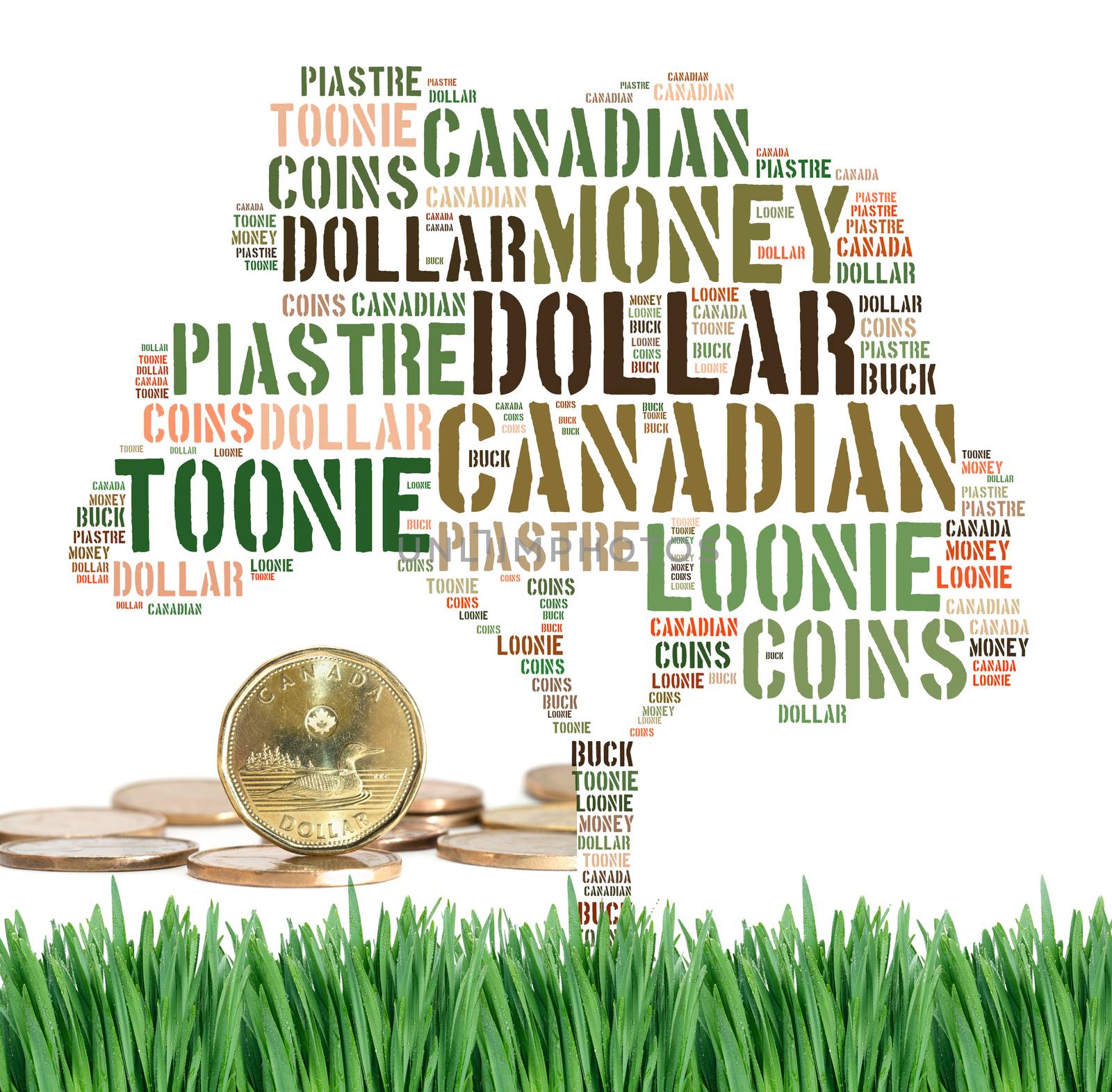 Canadian growing savings concept with tag cloud on green grass w by daoleduc