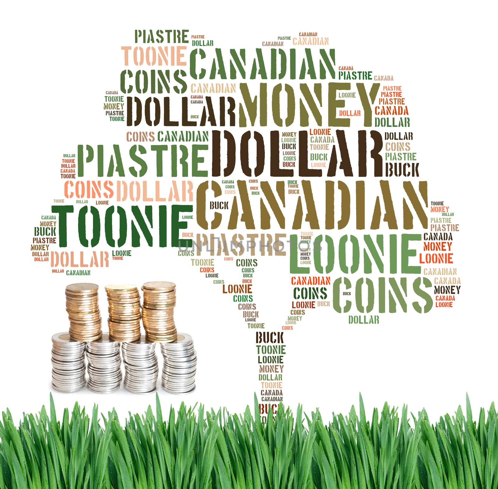 Canadian growing savings concept with tag cloud on green grass w by daoleduc