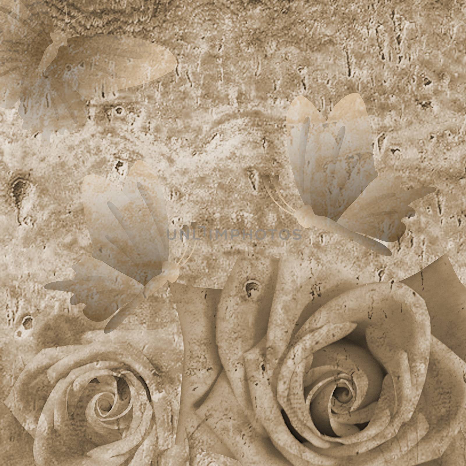 Romantic background with roses and butterfly