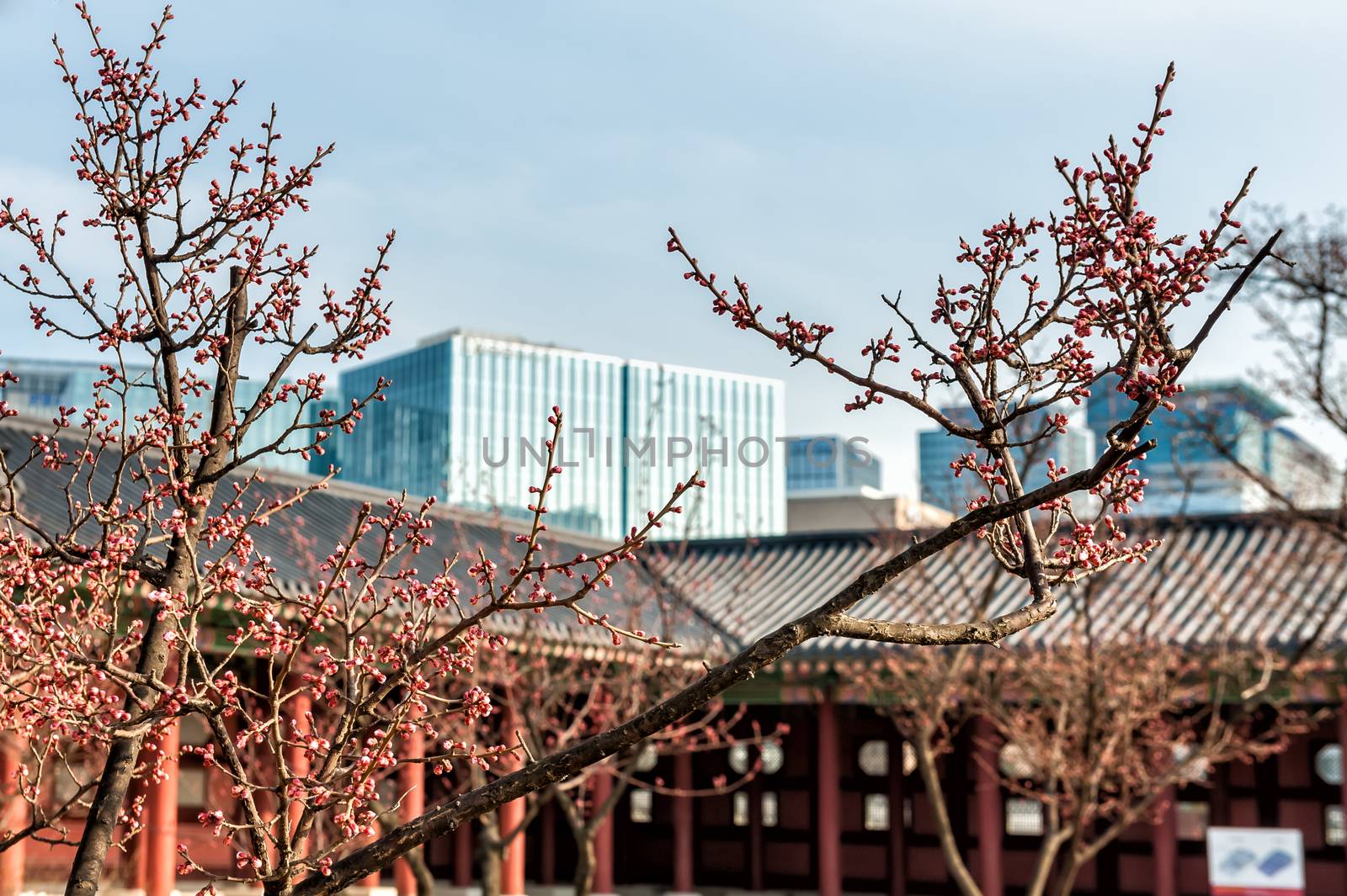 Gyeongbokgung by JasonYU