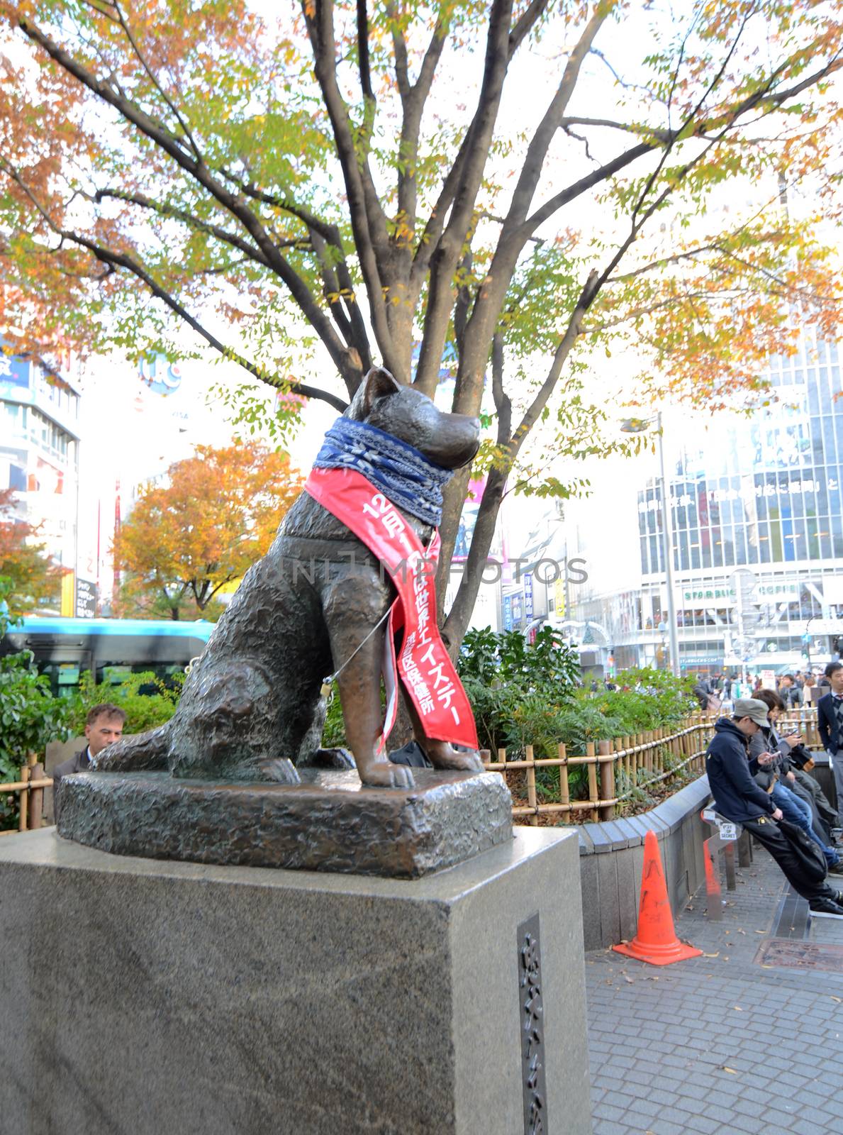 TOKYO - November 24: Hachikoas at Tokyoa is Shibuya railroad station by siraanamwong