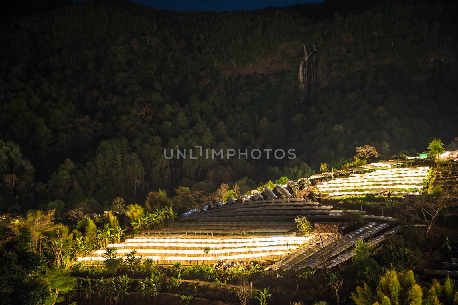 Nightscape of Greenhouse Plant and waterfall, Doi Inthanon, Chia by jakgree