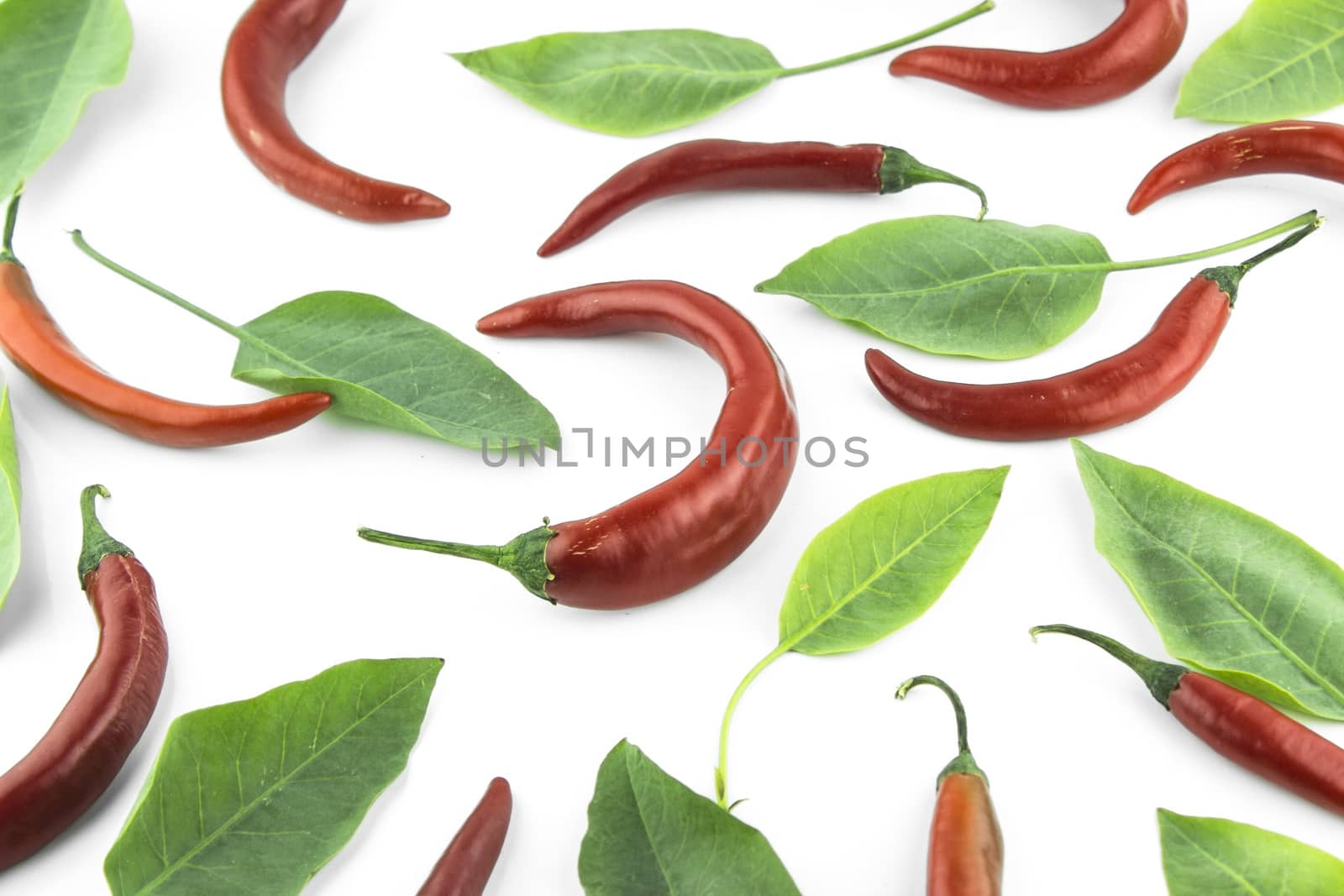red hot chili pepper with leaves on a white background