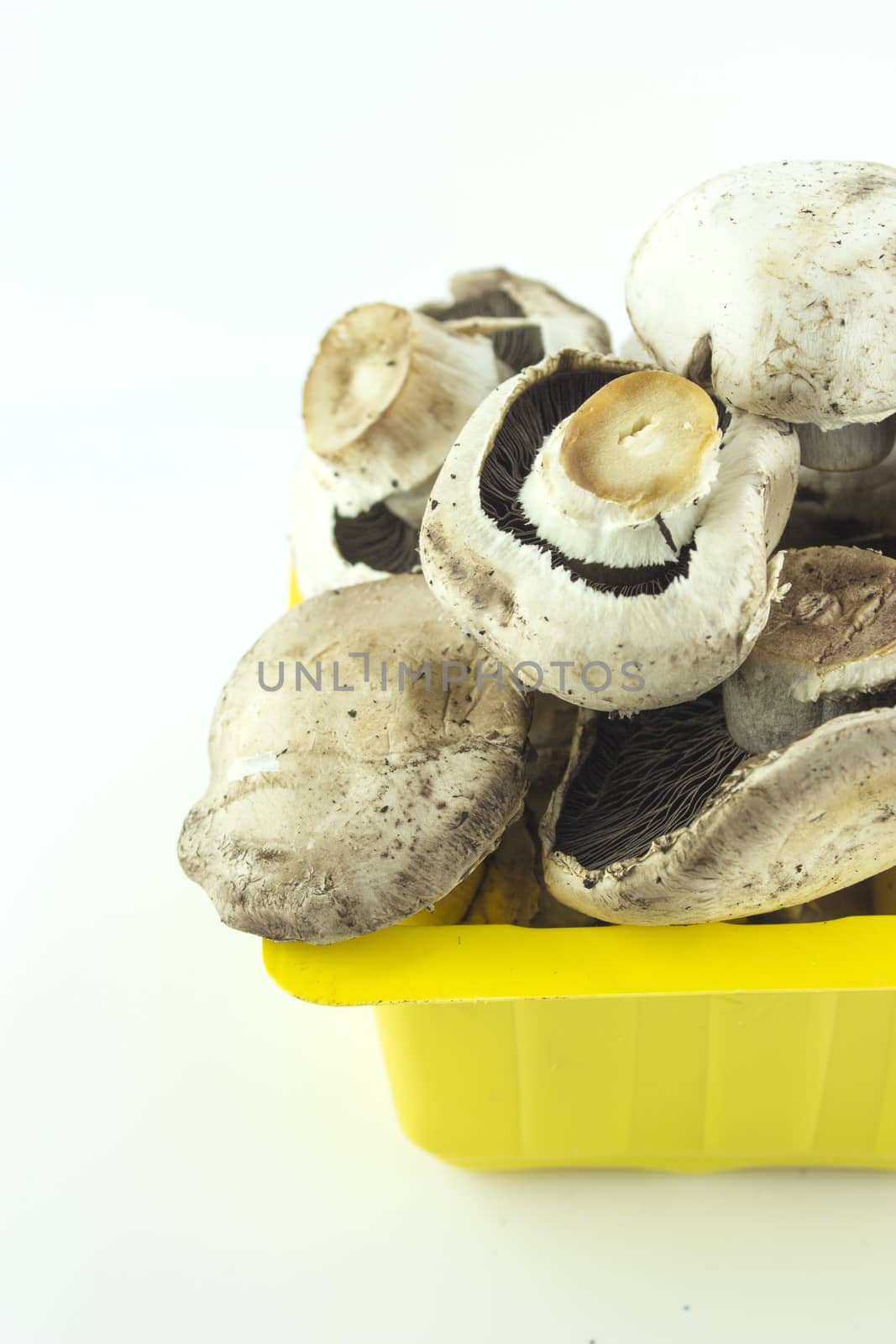 button white mushrooms in basket, champignons.