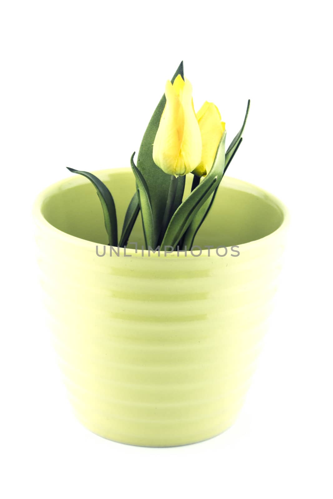 pottery flowerpot on white background.