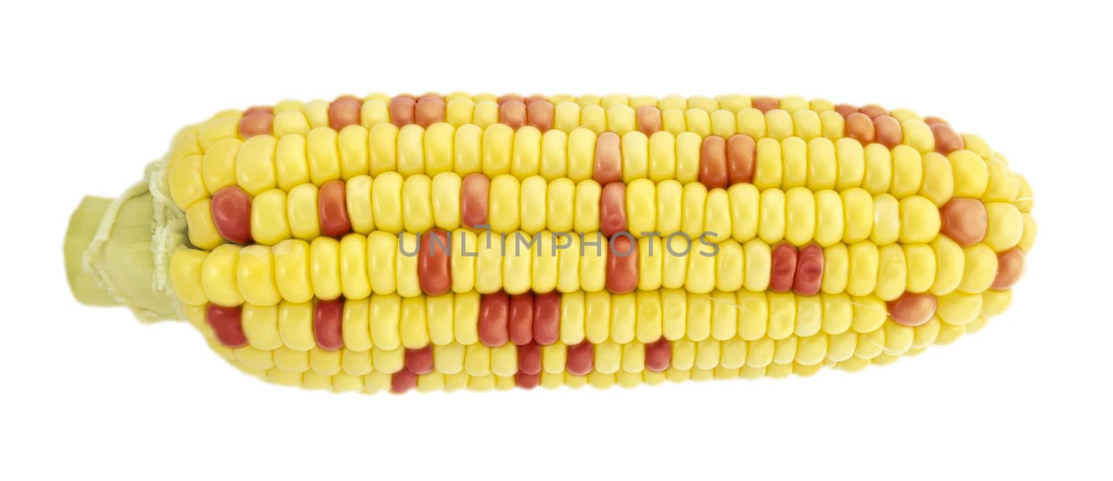 Corn by designsstock