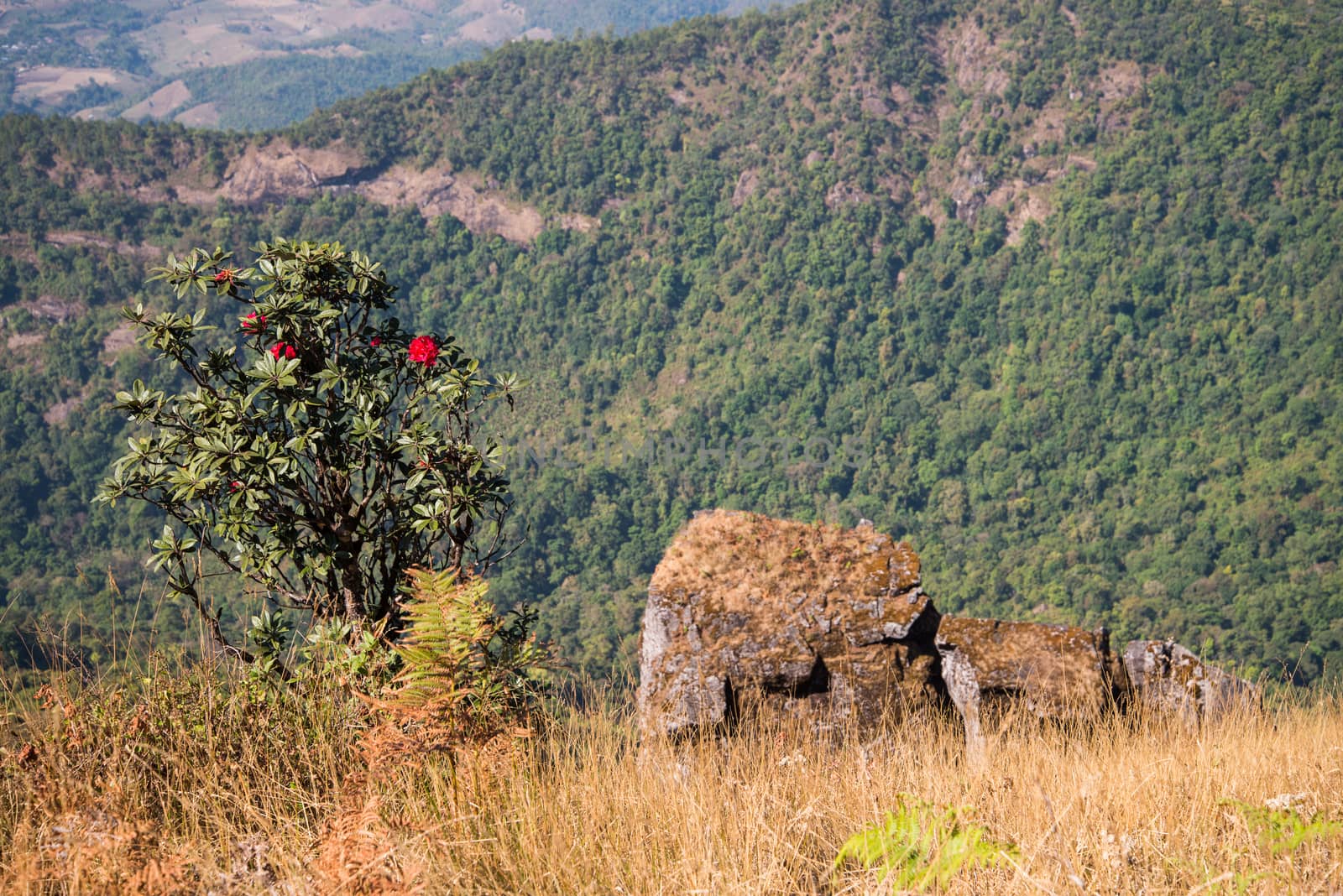 Viewpoint at Kew mae pan nature trail, Doi Inthanon national par by jakgree