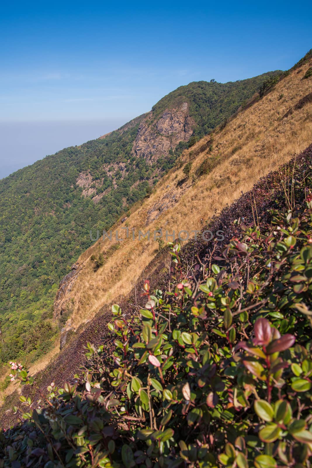 Viewpoint at Kew mae pan nature trail, Doi Inthanon national park, ChiangMai, Thailand