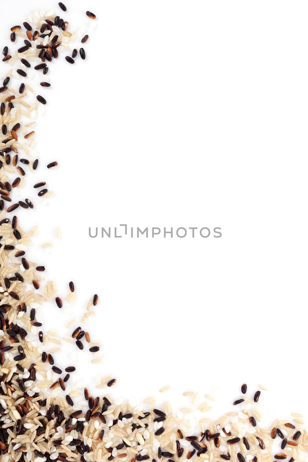 White, natural and wilde rice isolated on white background. Healthy rice background with copy space.