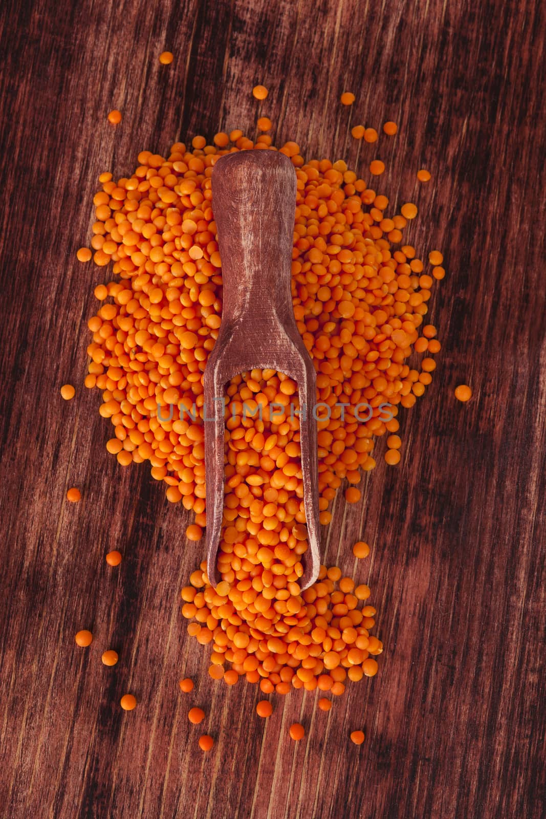 Red lentils. by eskymaks