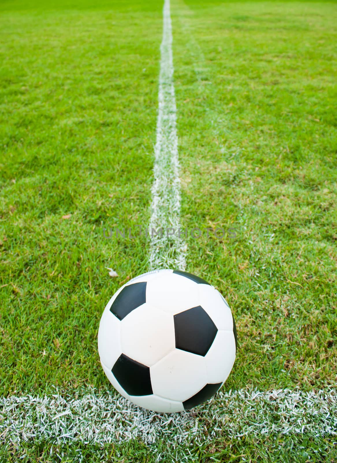 The ball in grass. The sideline. Fresh green grass. Black and white ball.