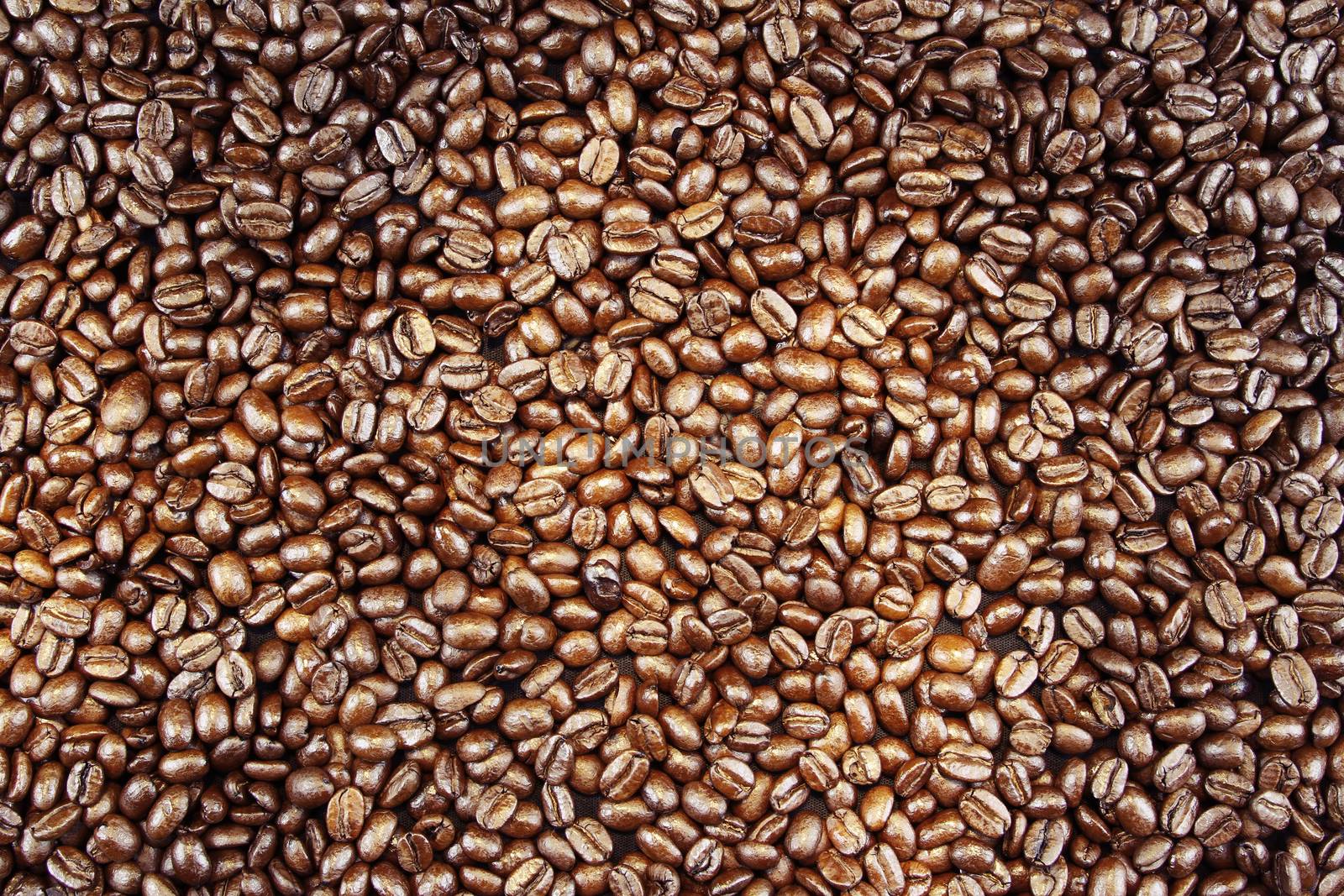 Closeup of roasted coffee beans