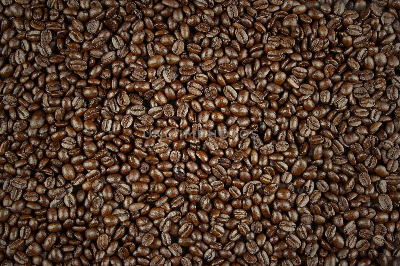 Coffee beans by Stillfx