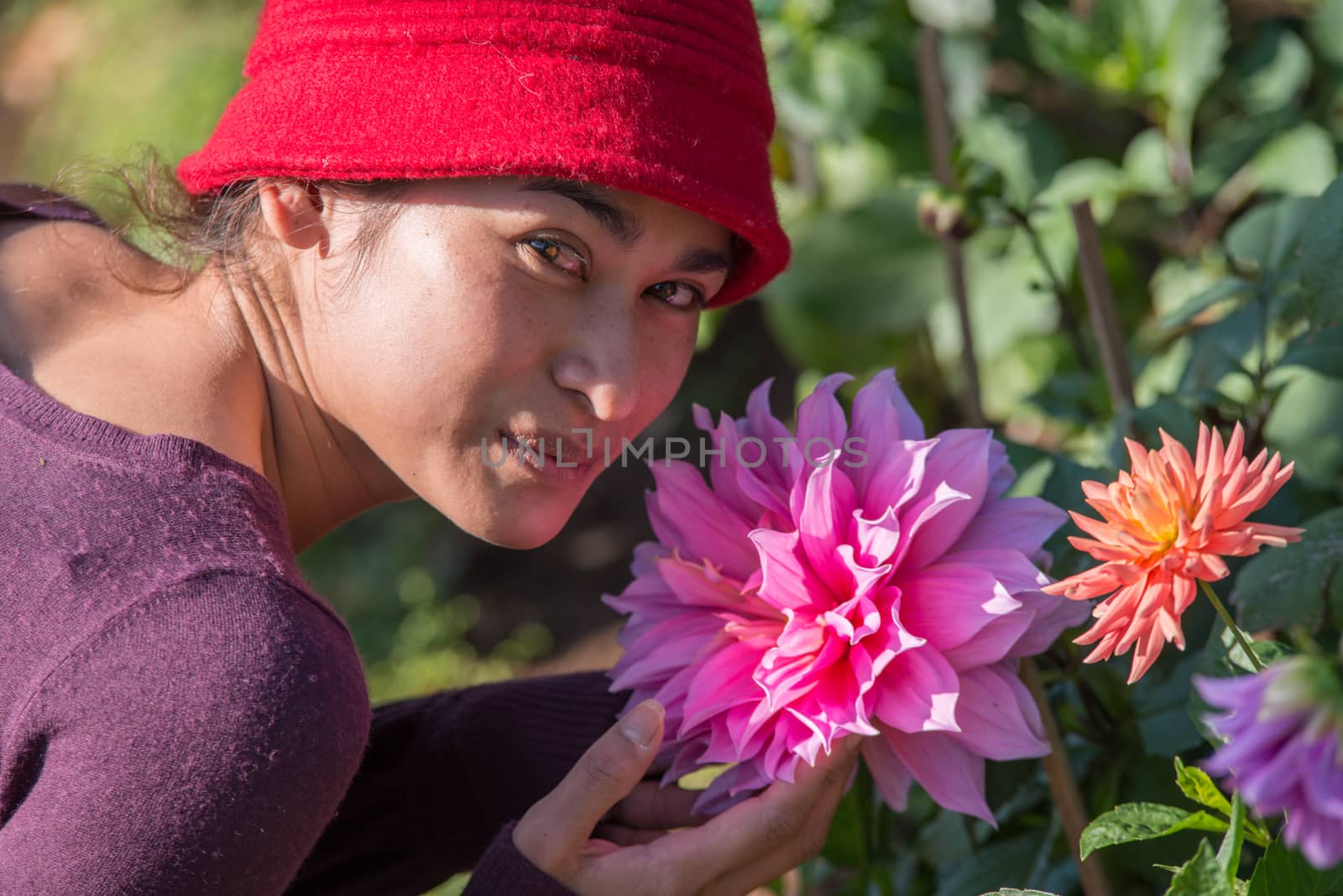 Portrait of asia woman and pink dahlia flower in garden by jakgree