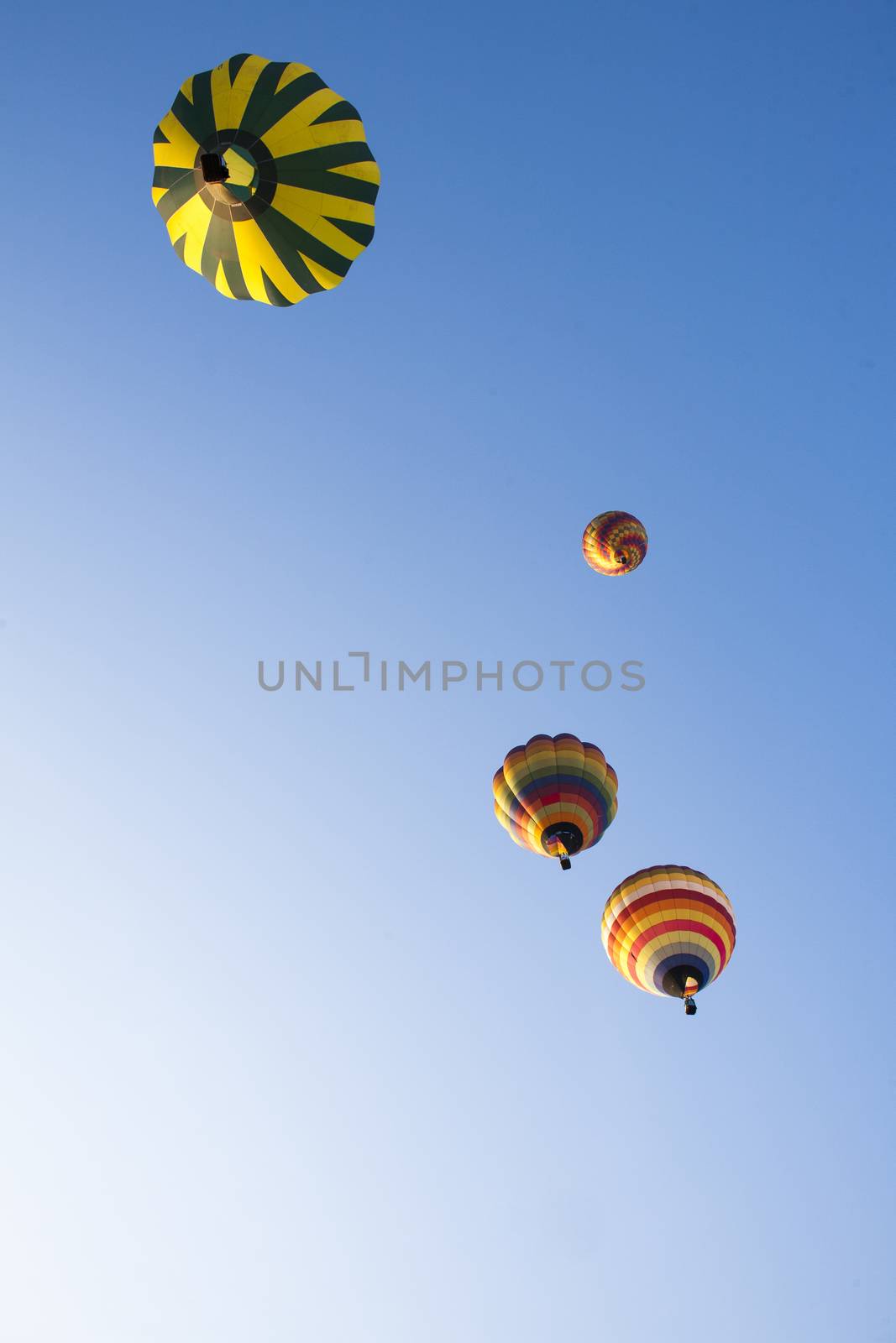 colorful hot air balloons