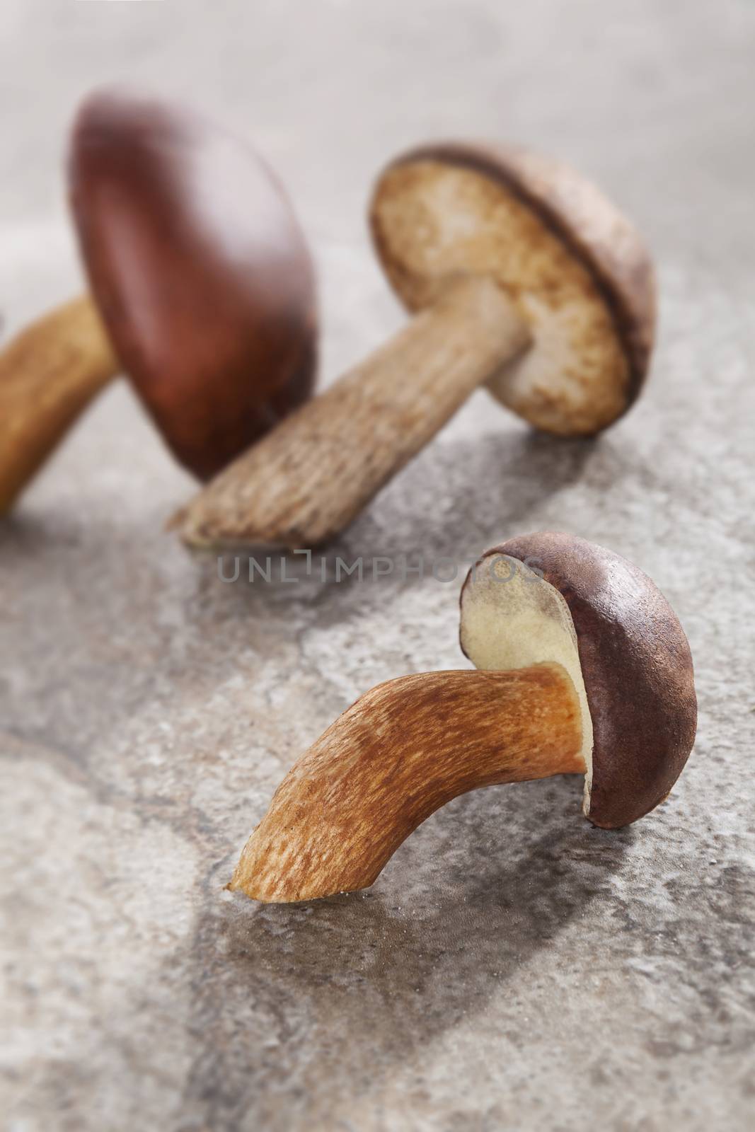 Couple of delicious fresh mushrooms on natural stone background. Seasonal mushroom eating.