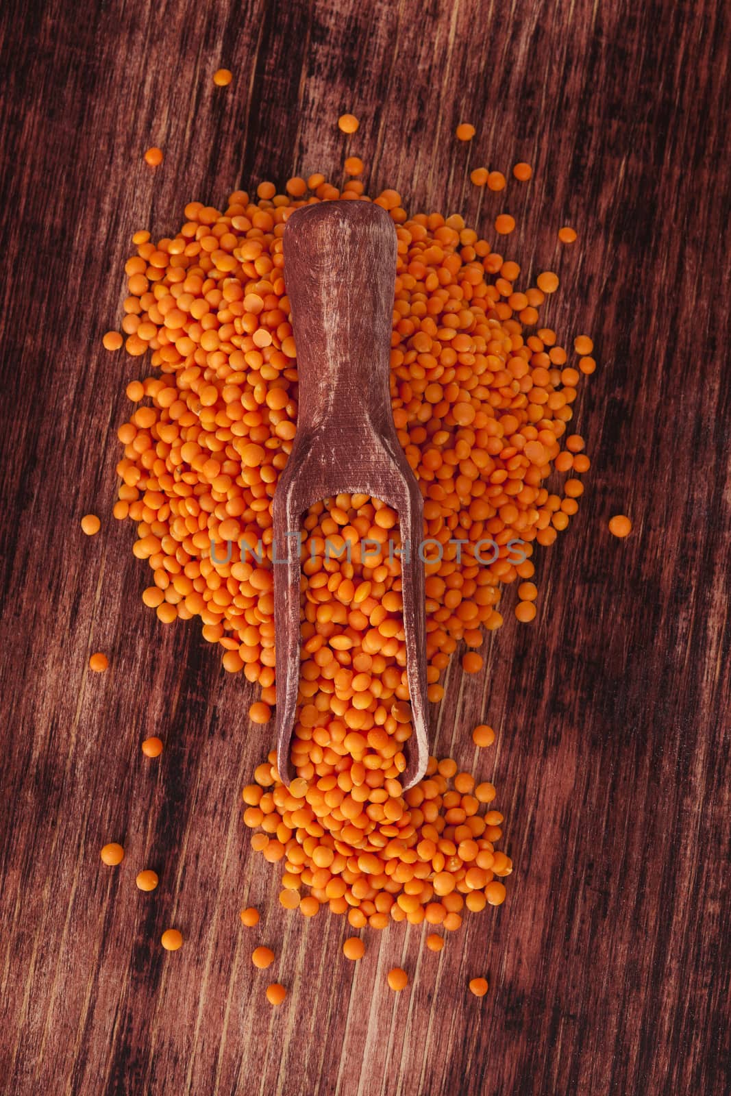 Red lentils on wooden spoon on dark wooden background. Healthy legume eating.